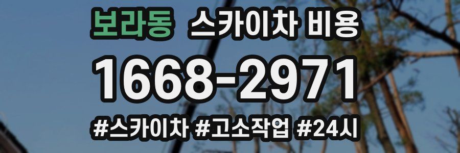 보라동 스카이차 비용