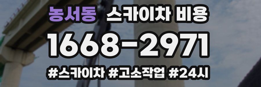 농서동 스카이차 비용