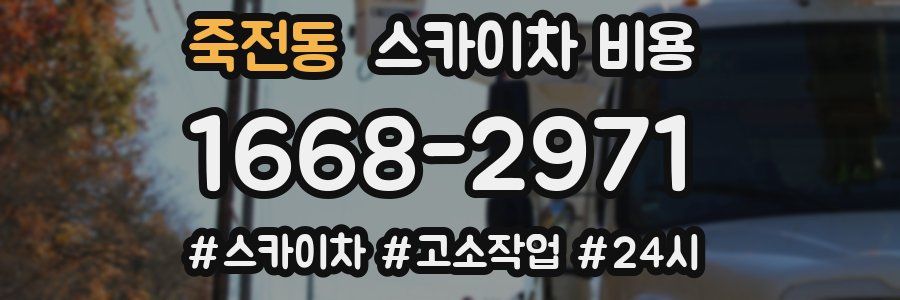 죽전동 스카이차 비용