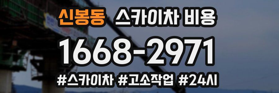 신봉동 스카이차 비용