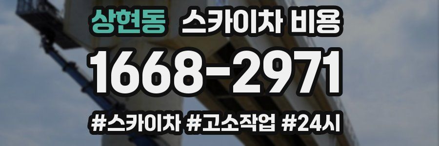 상현동 스카이차 비용