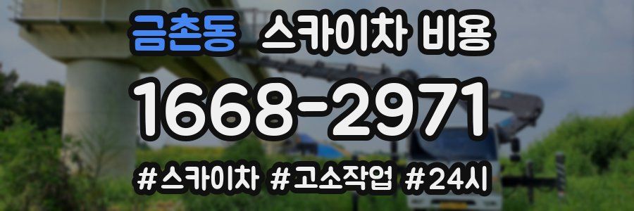 금촌동 스카이차 비용