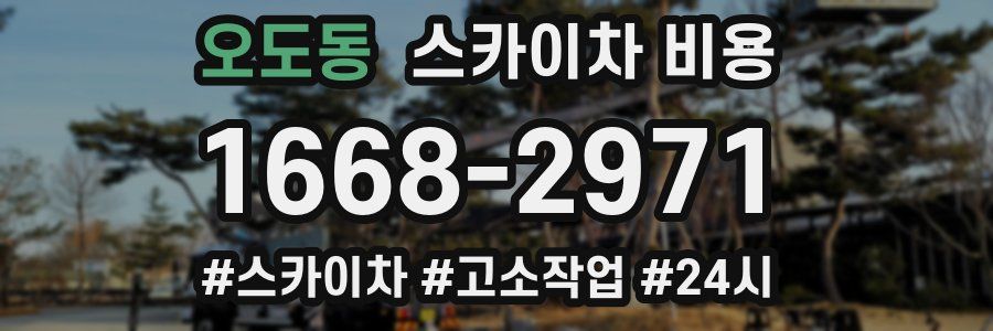 오도동 스카이차 비용