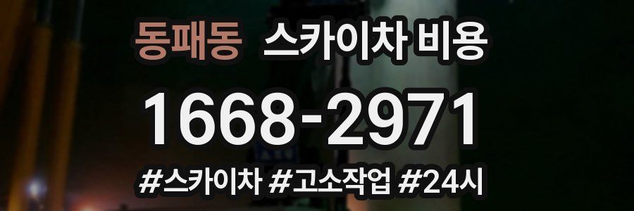 동패동 스카이차 비용