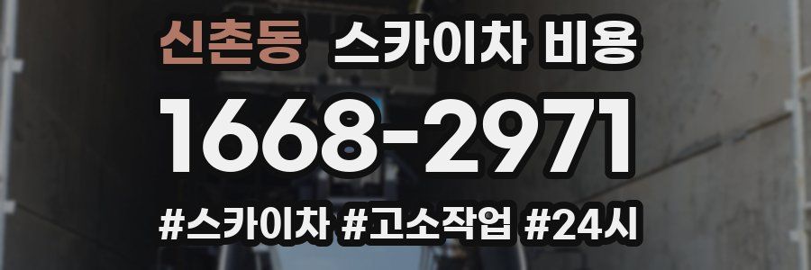 신촌동 스카이차 비용