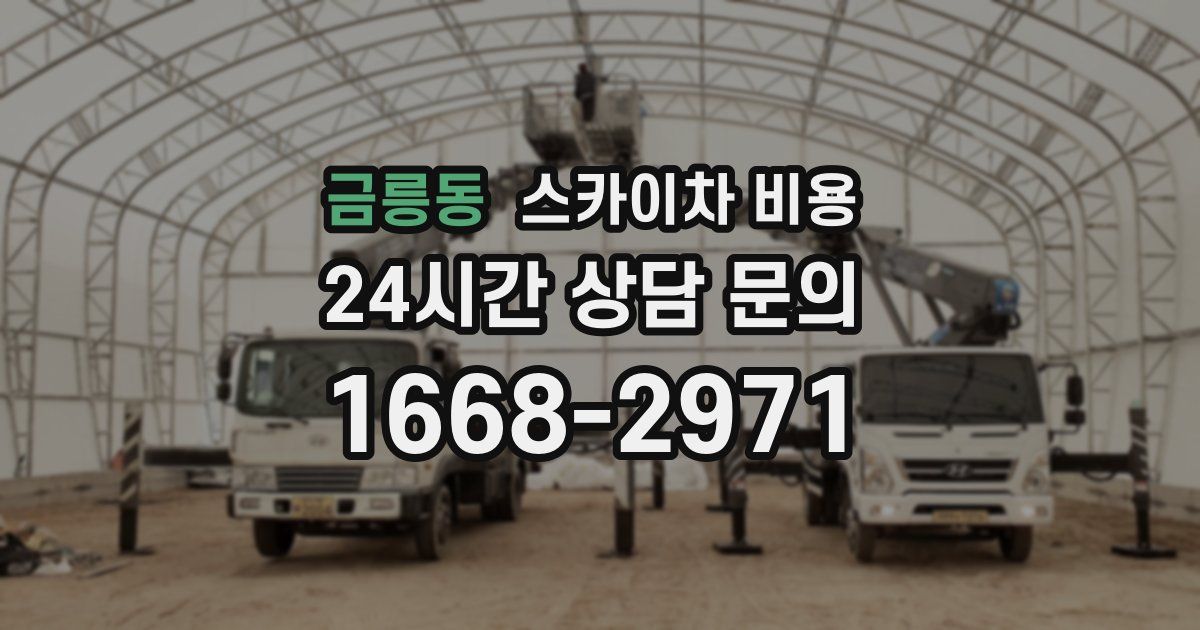 금릉동 스카이차 비용