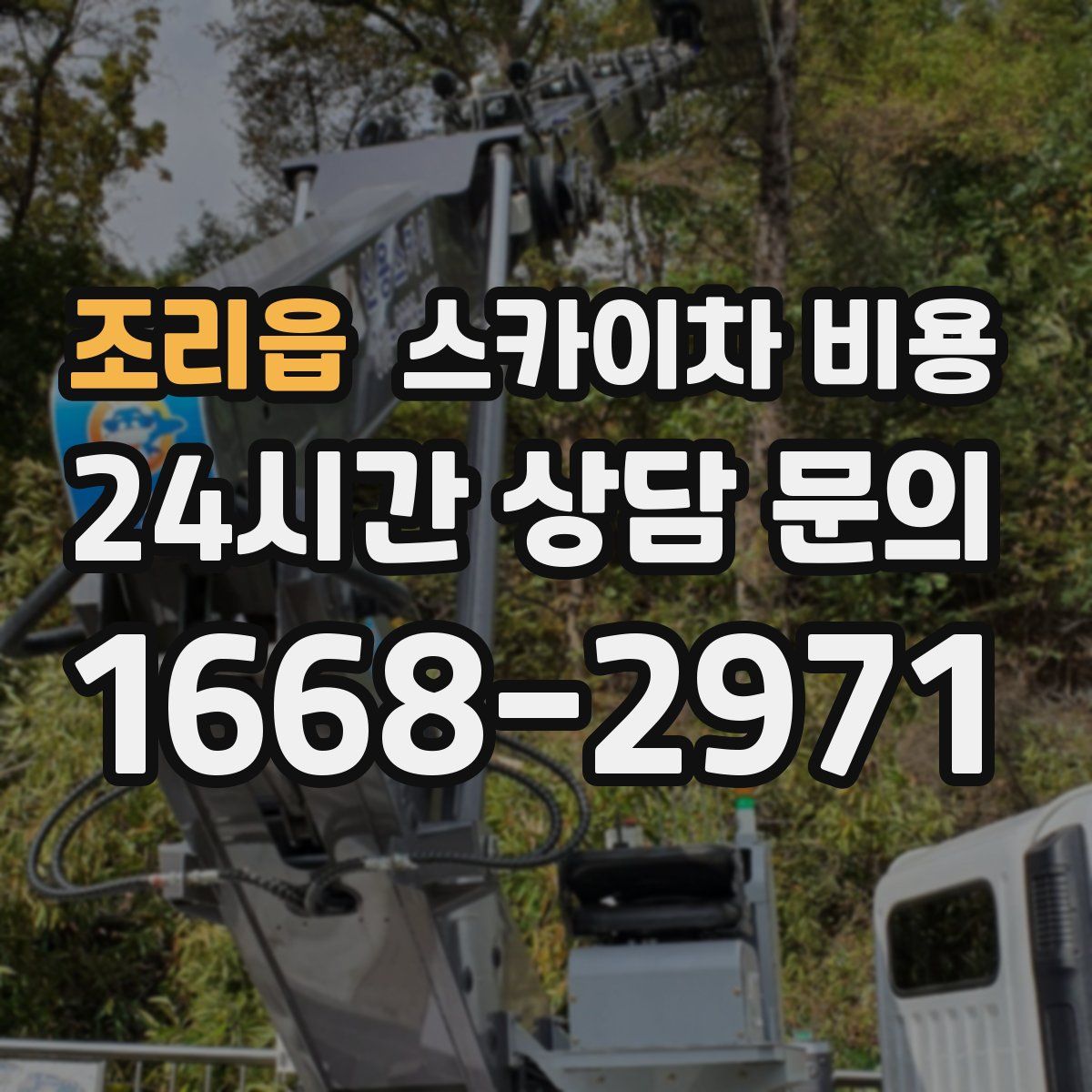 조리읍 스카이차 비용