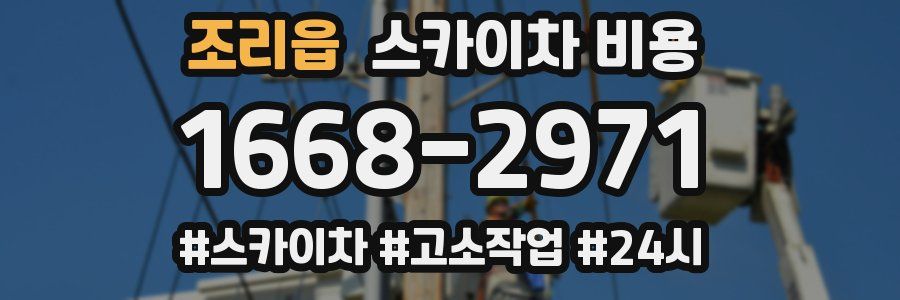 조리읍 스카이차 비용