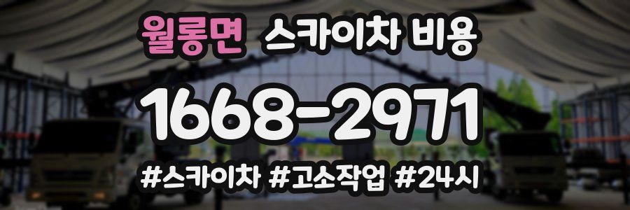 월롱면 스카이차 비용