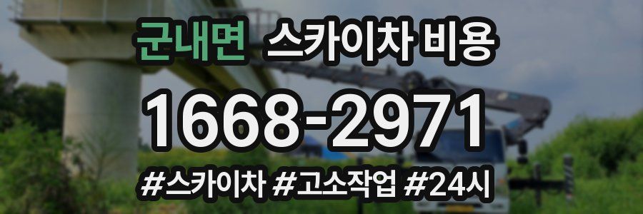 군내면 스카이차 비용