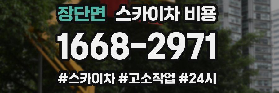 장단면 스카이차 비용