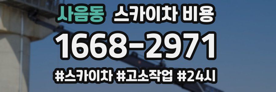 사음동 스카이차 비용