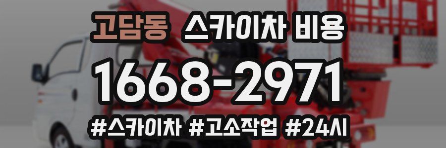 고담동 스카이차 비용