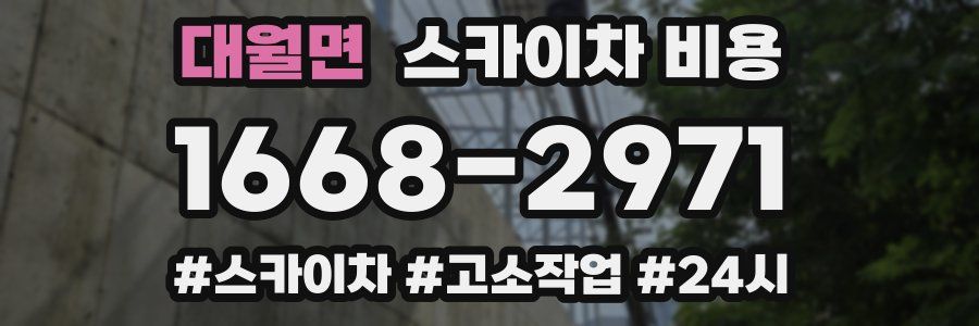 대월면 스카이차 비용