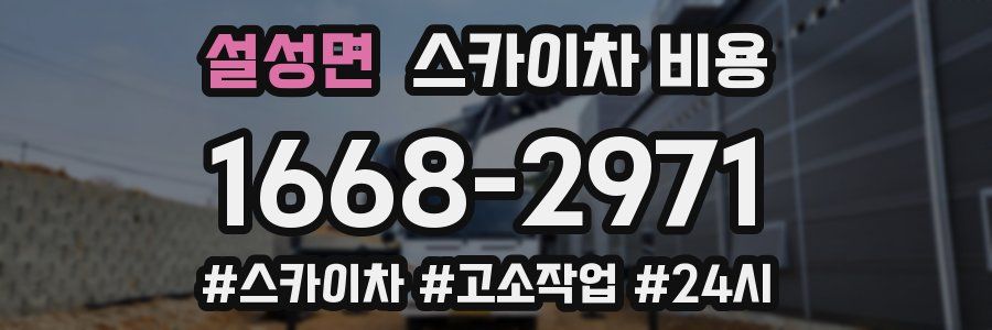 설성면 스카이차 비용