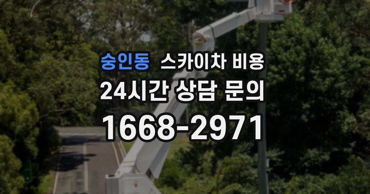 숭인동 스카이차 비용