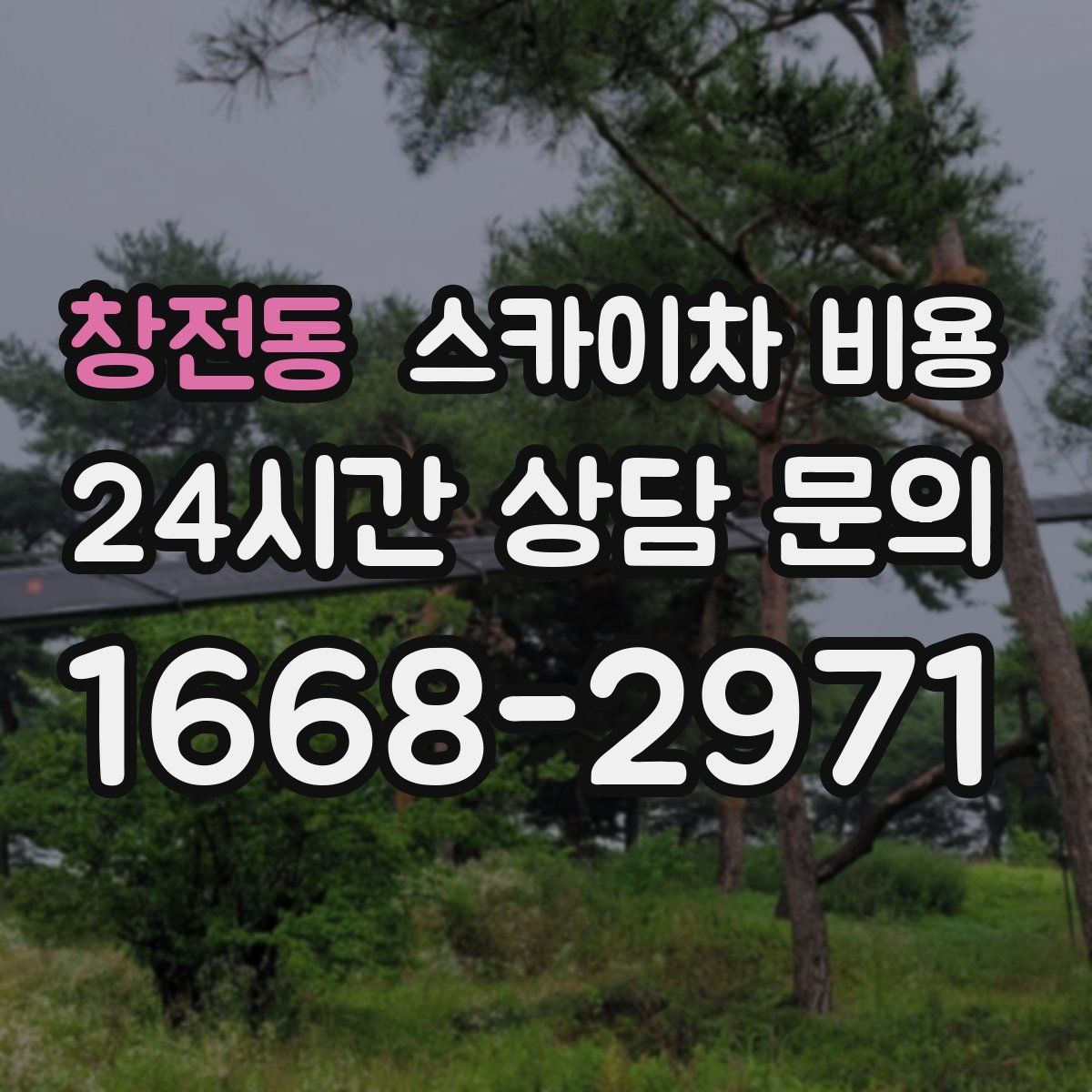 창전동 스카이차 비용