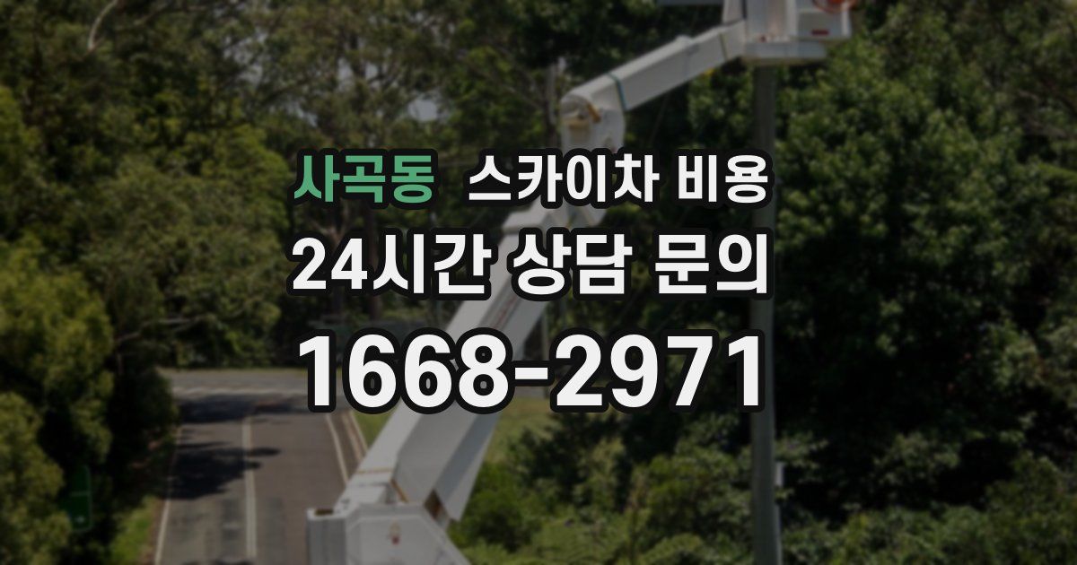 사곡동 스카이차 비용