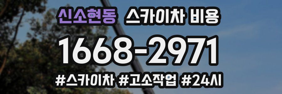 신소현동 스카이차 비용