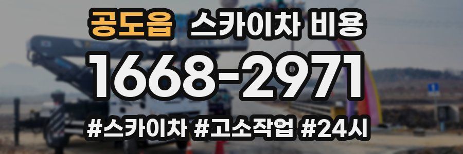 공도읍 스카이차 비용