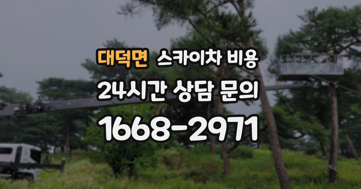 대덕면 스카이차 비용