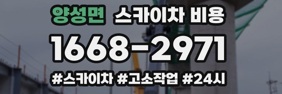 양성면 스카이차 비용