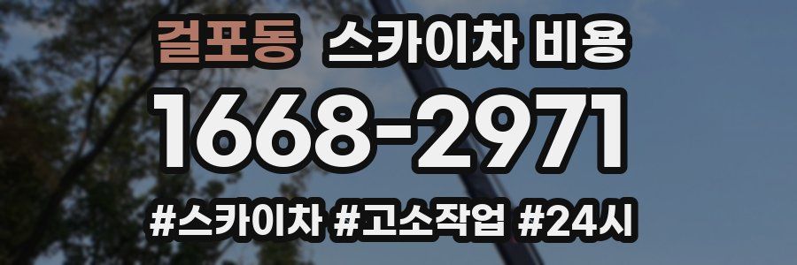 걸포동 스카이차 비용