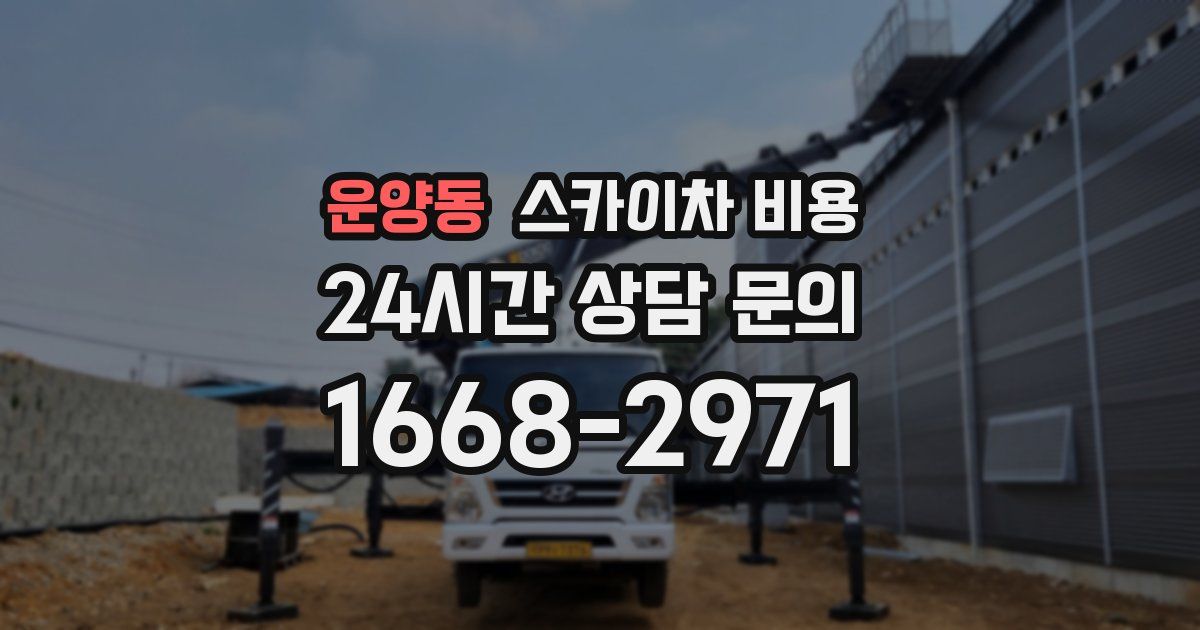 운양동 스카이차 비용