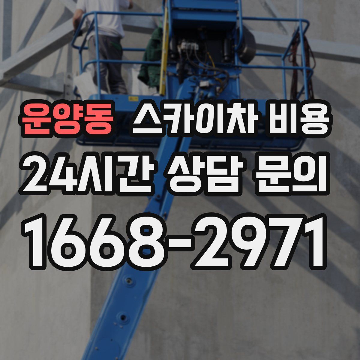 운양동 스카이차 비용