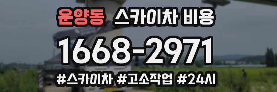 운양동 스카이차 비용