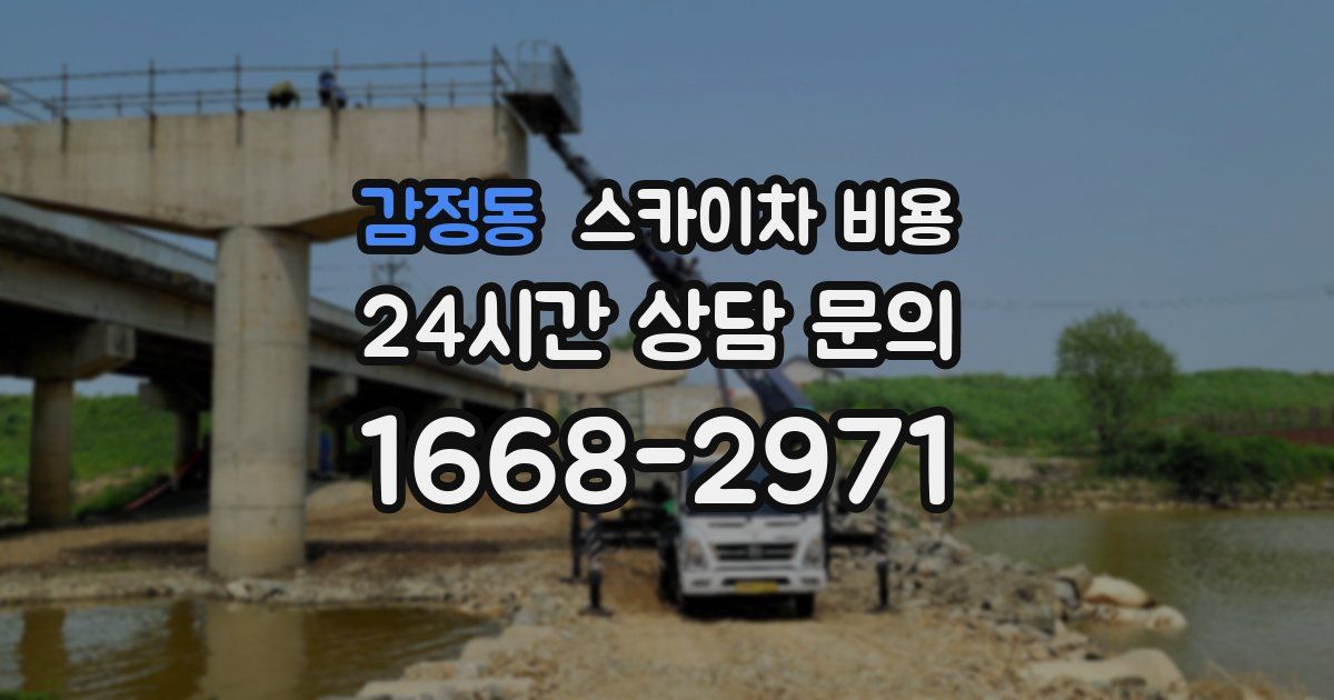 감정동 스카이차 비용