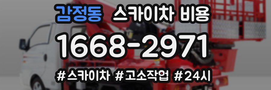 감정동 스카이차 비용