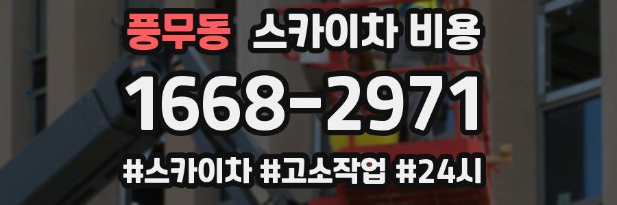 풍무동 스카이차 비용