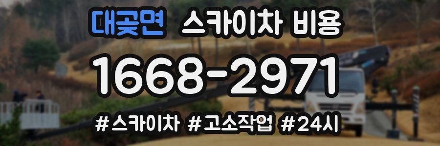 대곶면 스카이차 비용