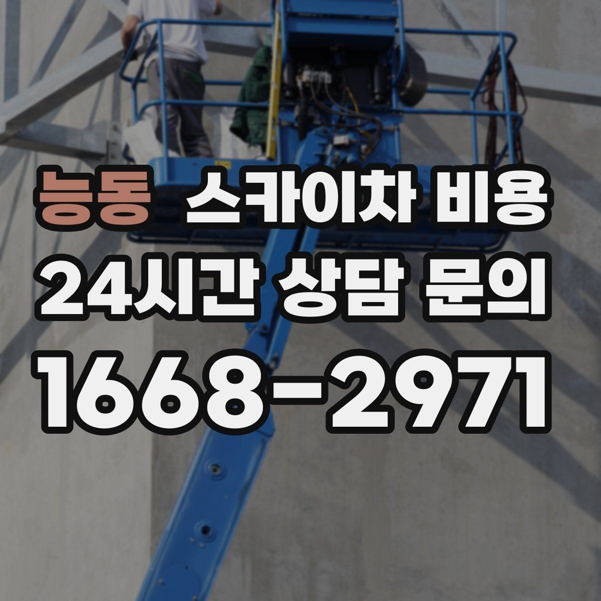 능동 스카이차 비용 셋팅 위치를 잘 잡으면 시간과 비용이 줄어듭니다
