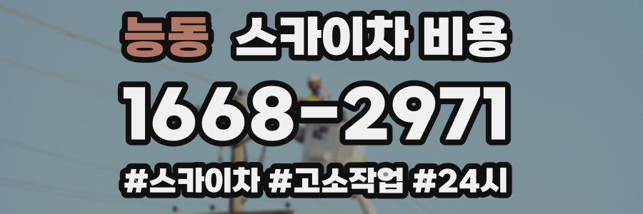 능동 스카이차 비용