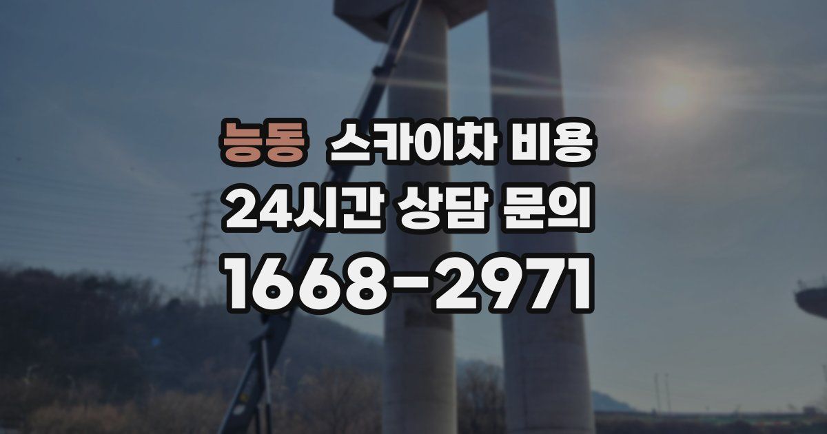 능동 스카이차 비용