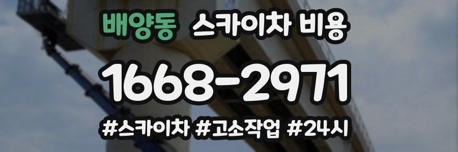 배양동 스카이차 비용