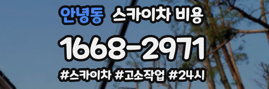 안녕동 스카이차 비용