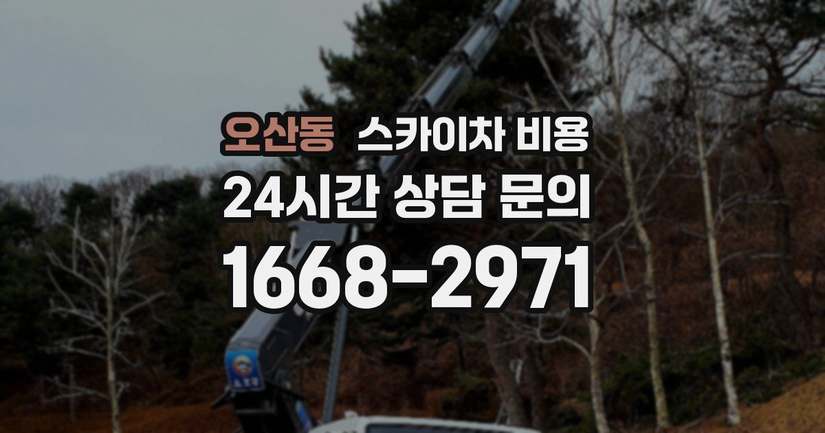 오산동 스카이차 비용