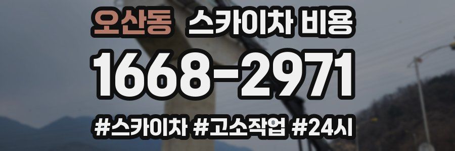 오산동 스카이차 비용