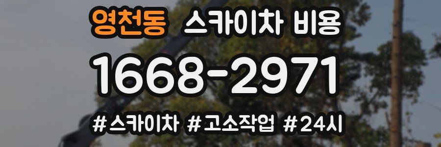 영천동 스카이차 비용