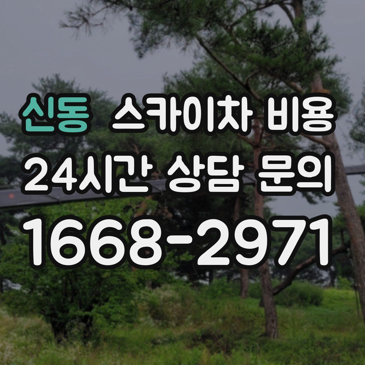 신동 스카이차 비용