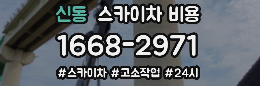 신동 스카이차 비용