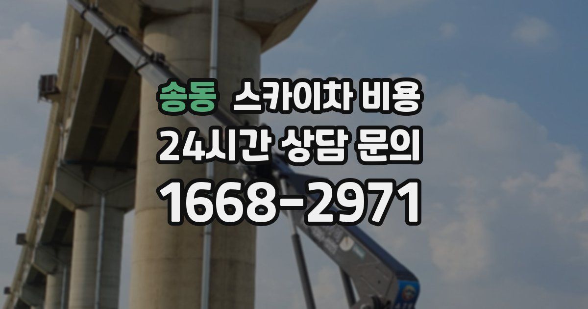 송동 스카이차 비용