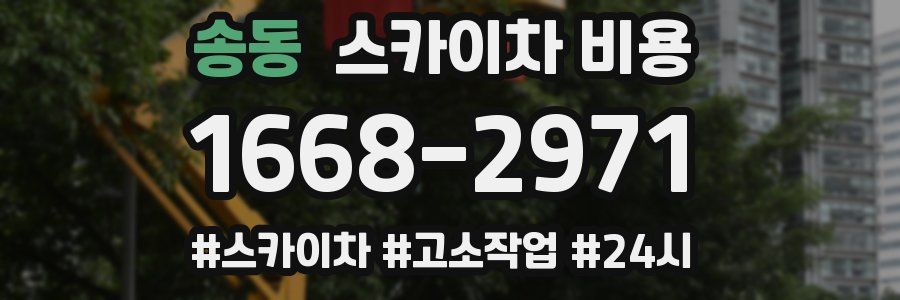 송동 스카이차 비용