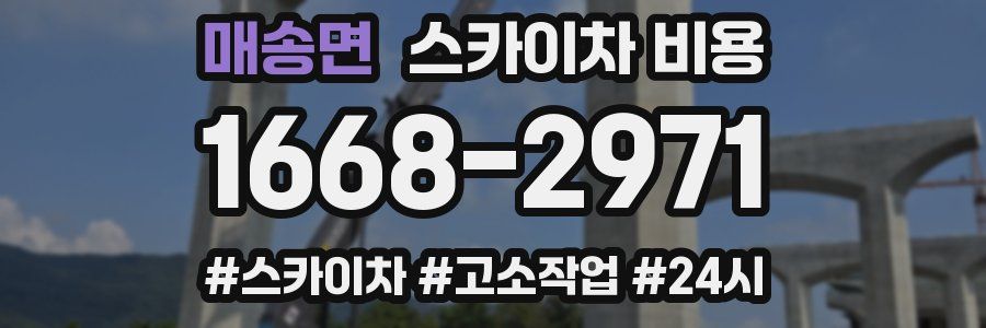 매송면 스카이차 비용