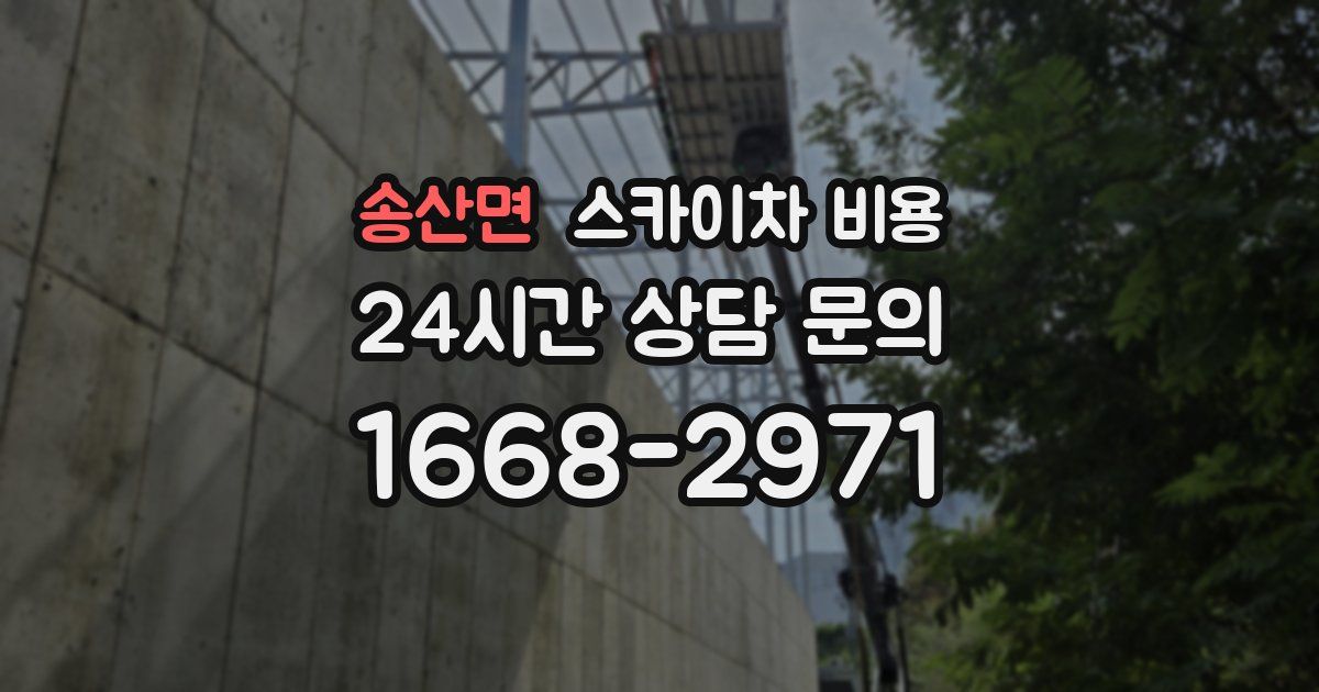 송산면 스카이차 비용