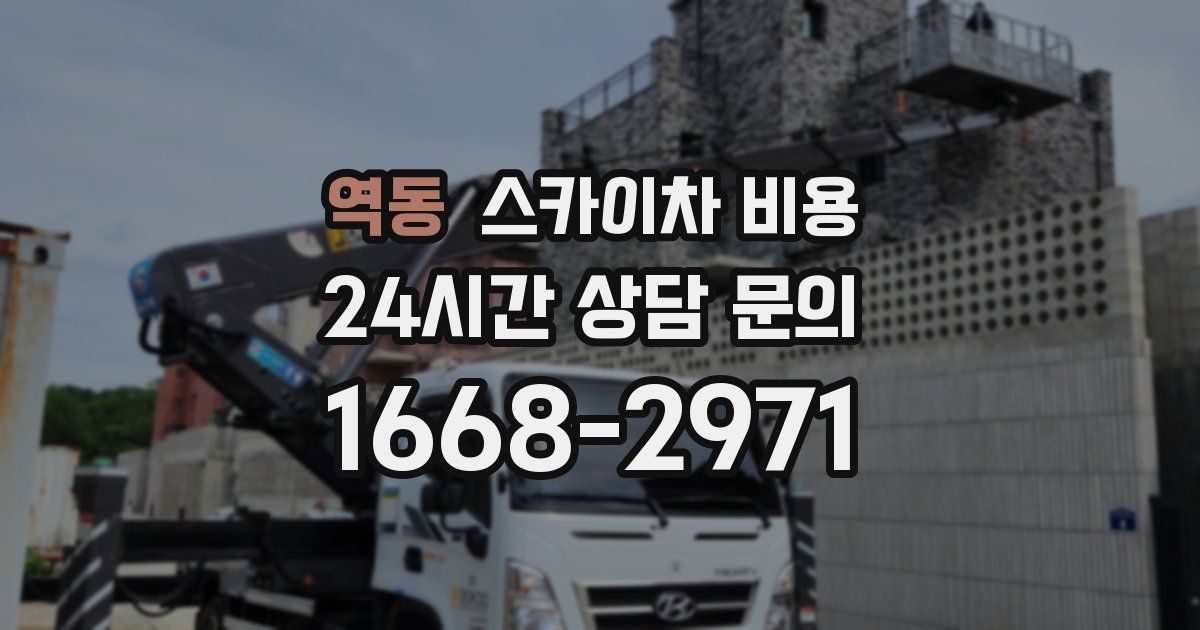 역동 스카이차 비용