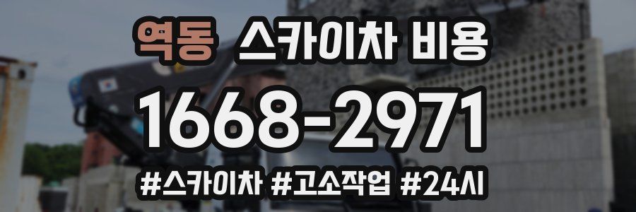 역동 스카이차 비용